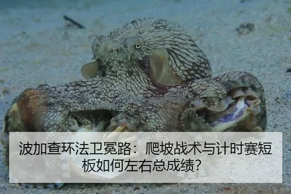 波加查环法卫冕路：爬坡战术与计时赛短板如何左右总成绩？